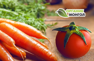 Органик Монгол Хөтөлбөр